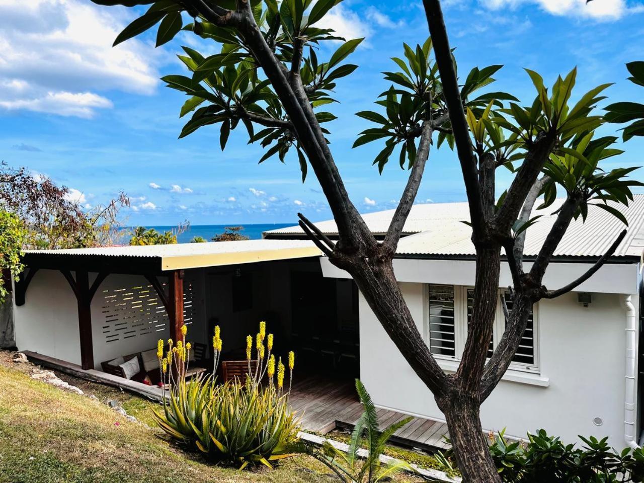 Martinique Villa Escaเลอ ดีอามงต์ ภายนอก รูปภาพ